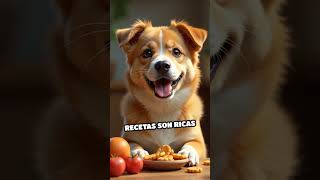 Delicias saludables para tus mascotas shorts short youtubeshorts [upl. by Zephan]