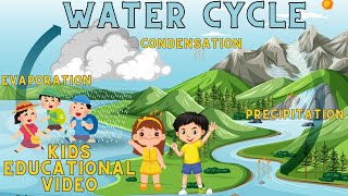 The Water Cycle for Kids  Learn all about the water cycle I The Water Cycle Learn Videos For Kids I [upl. by Anemix972]