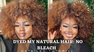 How To DYE Hair HONEY BLONDE  NO BLEACH Step by Step Natural HAIR Ombre Color [upl. by Ciapas560]