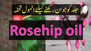 Benefits of Rosehip Oil UrduHindi [upl. by Acirt]