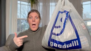 THRIFT STORE HAUL  Turning Bargains into BIG Profits [upl. by Lusty]