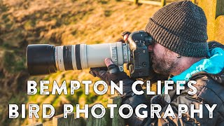 Bird Photography at Bempton Cliffs  Canon 1D Mark 3  100400mm L [upl. by Liana]