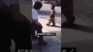 Scrappy Doo fyp viral trending funnyvideos funny shortsfunny [upl. by Philemol]