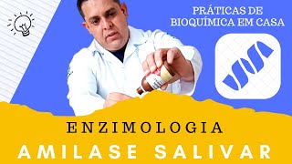 Digestão absorção e metabolismo de carboidratos [upl. by Horacio64]