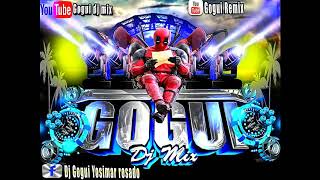 Si Con Volverte A Mirar Yaguaru Version Wepa Gogui Dj Mix [upl. by Fraser844]