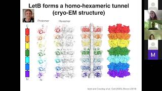 LRD Seminar Series June 12th 2020 Lipids in transmembrane protein structure [upl. by Nauh]