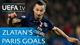 Zlatan Ibrahimović goals Watch all of his strikes for ParisSaint Germain [upl. by Cowey]