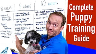 Your Complete Puppy Training Schedule By Age [upl. by Anaela654]