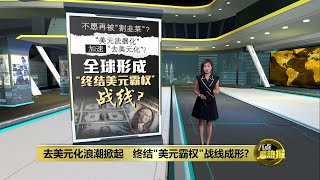 去美元化浪潮掀起 终结quot美元霸权quot战线已成形  八点最热报 09042023 [upl. by Odlopoel719]