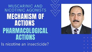 Parasympathomimetics Mechanisms amp pharmacological actions of muscarinic amp nicotinic agonists Edited [upl. by Annaet]