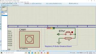 Picamera Proteus [upl. by Naillig193]