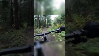 Tabletops on Poppin Tops mtb downhill [upl. by Neehs]