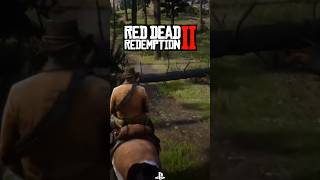 VOCÊ SABIA QUE PODE SER FEITO UM MILAGRE EM RED DEAD REDEMPTION 2 [upl. by Nivrehs371]