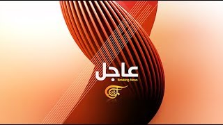 ALMAYADEEN TV  News Package 2012 [upl. by Hakeber25]