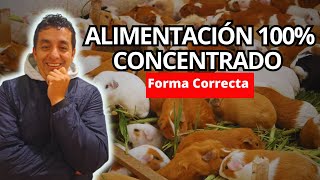 Tres SISTEMAS de alimentación FUNDAMENTALES que debes CONOCER en cuyes [upl. by Leontina]