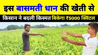 धान की खेती से लाखों का मुनाफा  PB 1509 paddy seed [upl. by Amati]