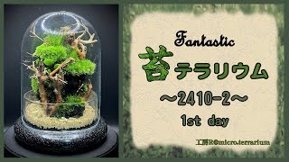 Moss Terrarium ～24102～ Long Ver コケリウム terrarium 苔テラリウム 苔 moss [upl. by Yrrak]