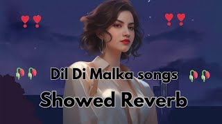 Dil Di Malka showed Reverb Heartfelt Panjabi Sad Song Studio Production with Reverb Effectsquotsong [upl. by Charissa]