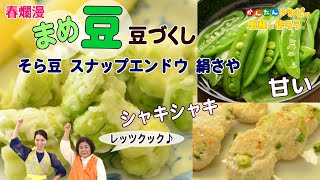 【簡単 美味しい 春の豆づくし４品】◎スナップエンドウの洋風おひたし ◎絹さやとちりめんのペペロンチーノ ◎そら豆の落とし焼き ◎春の豆のつくね [upl. by Onibag]