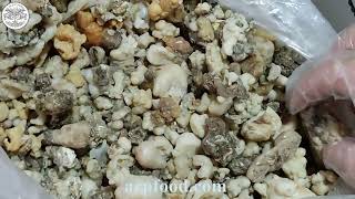 New Stock Dorema Ammoniacum Resin Ready to Export [upl. by Sagerman617]