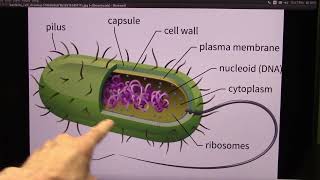 New Research on Cancer and Health via the Microbiome from the University of California [upl. by Stan481]