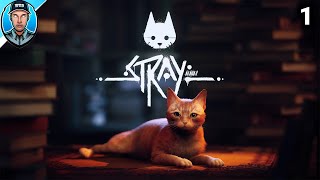 Stray To Be A Cat In The Underbelly  First Ever Playthrough PC [upl. by Baerman]