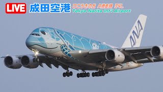 【LIVE】2024045 Tokyo NARITA Intl Airport Plane Spotting 成田空港 [upl. by Flemings]