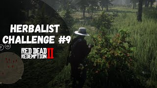 Herbalist Challenge 9 Guide  Red Dead Redemption 2 [upl. by Cuttie]