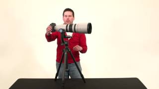 How to Setup amp Use a Gimbal Head For Wildlife Photography [upl. by Salta46]