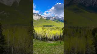 Exploring Kananaskis Country trails near Troll Falls nature alberta Canada 🇨🇦 [upl. by Thomsen724]