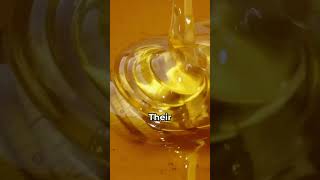 How Do Bees Make Honey 🍯 nature science bees honey facts interestingfacts [upl. by Rema]