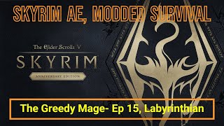 Skyrim AE Modded Survival  The Greedy Mage  Ep 15 Labyrinthian [upl. by Nicholle]