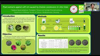 Plant extracts against soft rot caused by Erwinia carotovora In vitro trials [upl. by Buonomo]