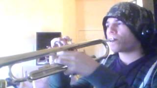 PunchOut Wii main fight theme on trumpet [upl. by Dryden793]