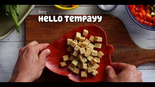 What is Tempeh  Discover Hello Tempayy [upl. by Selby]