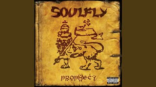 Soulfly IV [upl. by Oicam948]