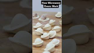 How Microwave Ovens Work [upl. by Tuesday297]