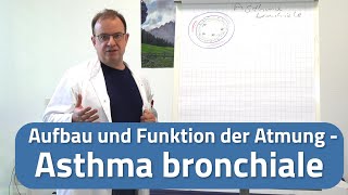 Asthma bronchiale Erklärung  Was bedeutet Asthma bronchiale [upl. by Tay524]