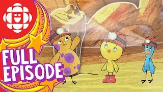 Chirp  Journey to the Cave of Wonders  CBC Kids [upl. by Alpert185]