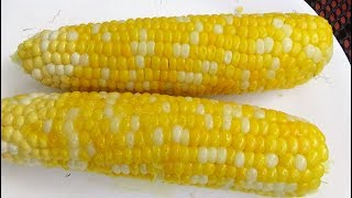 How to Microwave Corn on the Cob [upl. by Nonarb]