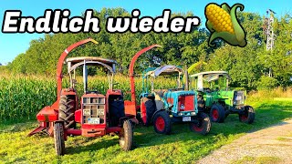 Farmvlog 383  Alle guten Dinge sind 3 [upl. by Arnaldo960]