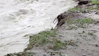 Heavy rain leads to intense flooding in Austria [upl. by Ellehcal]