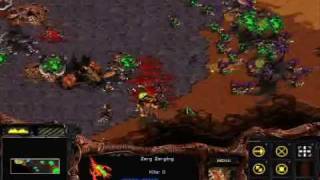 Starcraft Brood War  Zerg Mission 4 The Liberation of Korhal [upl. by Inej]