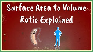 Surface Area to Volume Ratio Explained [upl. by Amitak260]