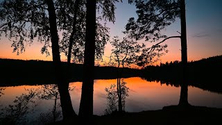 Hiking Vätterleden  The magic forest of Sweden [upl. by Enimsaj]