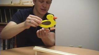 Toy Physics  Part 3 Waddling Duck [upl. by Eulau472]