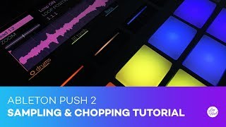 How to Sample and Chop with Ableton Push 2 Tutorial [upl. by Eenahs]