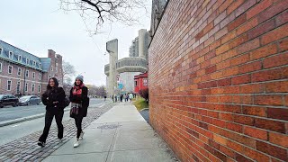 Toronto Walk  College Station To Robarts Library  January 2024 [upl. by Mcclenon684]