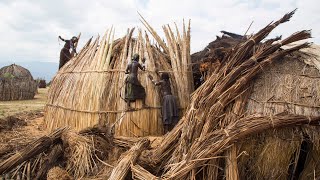 Sustainable Living  Hut of Reeds [upl. by Gwenneth]