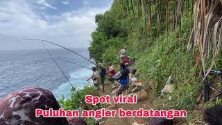 Panen ikan greenjob di spot song nusa penida [upl. by Hayotal]